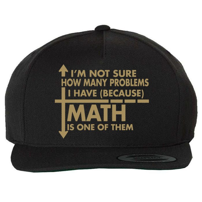 Funny Math Problems Wool Snapback Cap