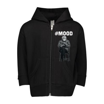 Funny Meme Mittens Bernie Sanders Mood Toddler Zip Fleece Hoodie