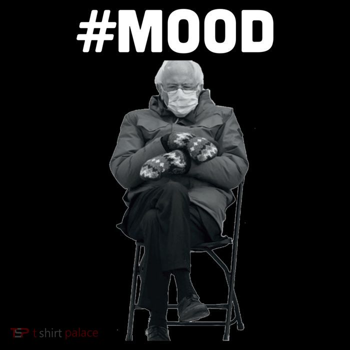 Funny Meme Mittens Bernie Sanders Mood T-Shirt