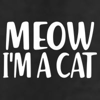 Funny Meow I'm A Cat Lazy Halloween Costume Garment-Dyed Heavyweight T-Shirt