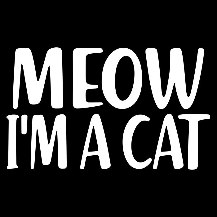 Funny Meow I'm A Cat Lazy Halloween Costume Visor