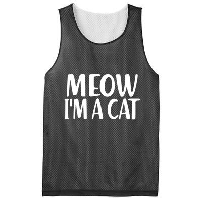 Funny Meow I'm A Cat Lazy Halloween Costume Mesh Reversible Basketball Jersey Tank