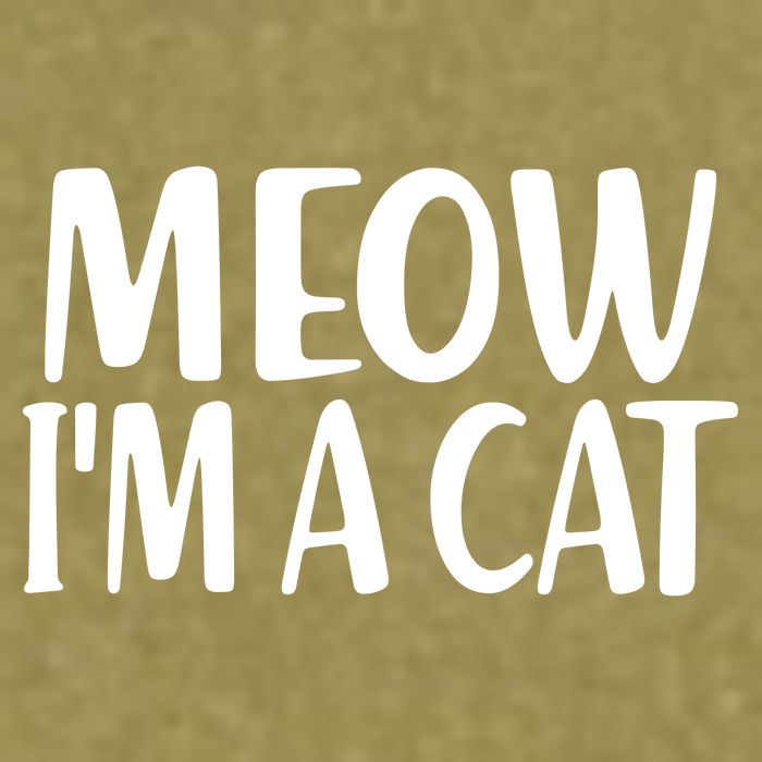 Funny Meow I'm A Cat Lazy Halloween Costume Garment-Dyed Women's Muscle Tee