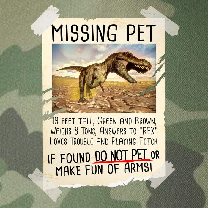 Funny Missing Pet T-Rex Dinosaur Legacy Tie Dye Trucker Hat