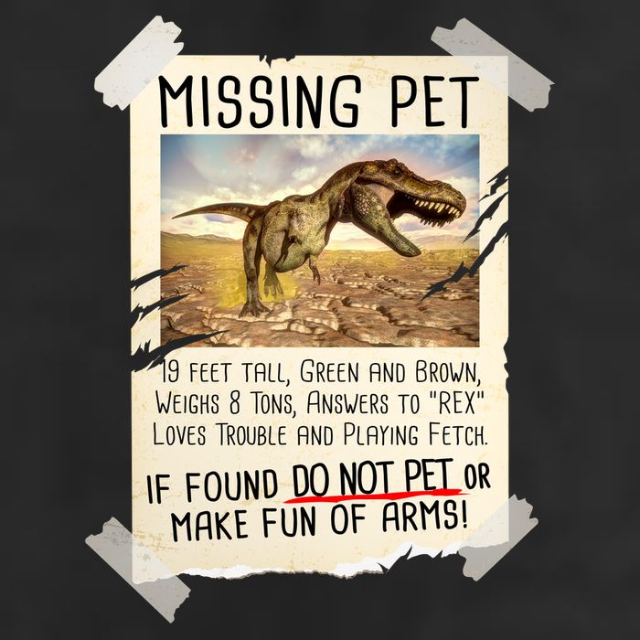 Funny Missing Pet T-Rex Dinosaur 7 Panel Mesh Trucker Snapback Hat