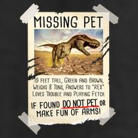 Funny Missing Pet T-Rex Dinosaur Premium Pullover Hoodie