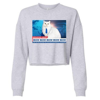 Funny News Anchor Cat Cropped Pullover Crew