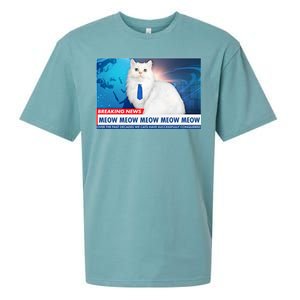 Funny News Anchor Cat Sueded Cloud Jersey T-Shirt