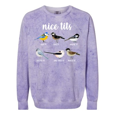 Funny Nice Tits Birds Colorblast Crewneck Sweatshirt