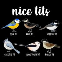Funny Nice Tits Birds Toddler T-Shirt