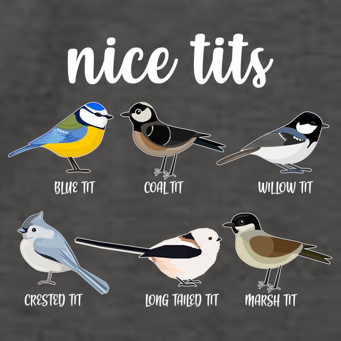 Funny Nice Tits Birds Vector Backpack