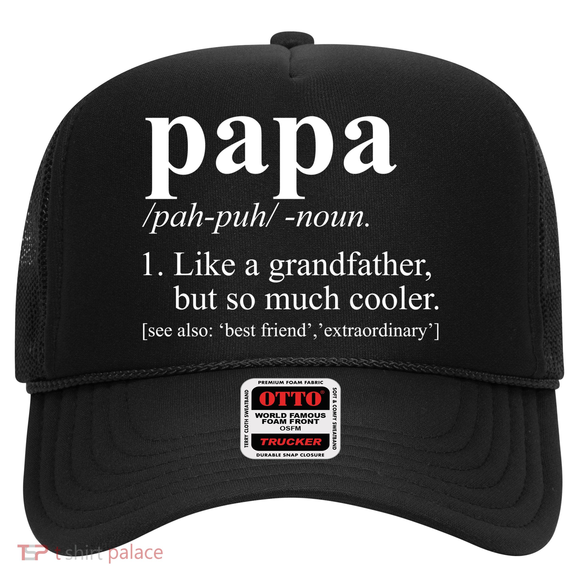 Funny Papa Definition Like A Grandfather Trucker Hat
