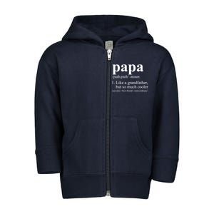 Funny Papa Definition Like A Grandfather Toddler Zip Fleece Hoodie