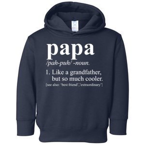 Funny Papa Definition Like A Grandfather Toddler Hoodie