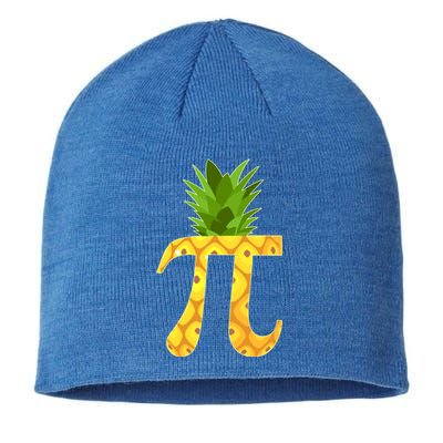 Funny PI-neapple PI 3.14 Day Sustainable Beanie