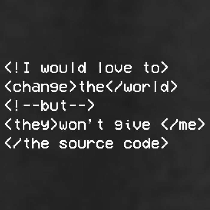 Funny Programmer Change The World Garment-Dyed Heavyweight T-Shirt