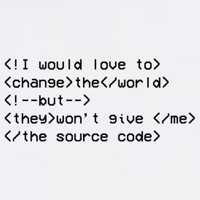 Funny Programmer Change The World Garment-Dyed Sweatshirt
