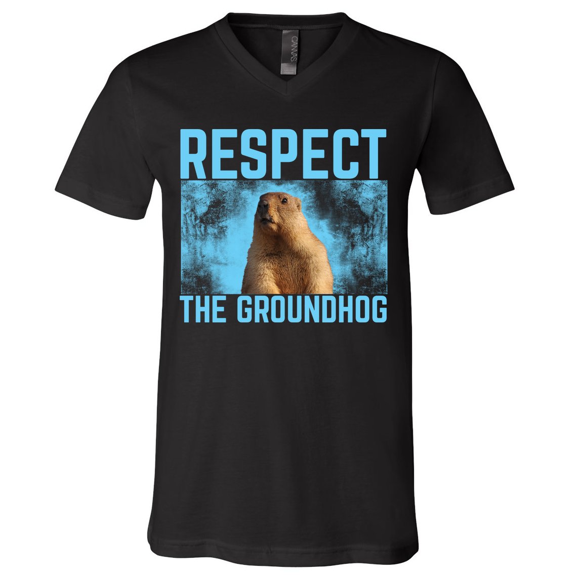 Funny Respect The Groundhog V-Neck T-Shirt