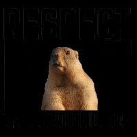 Funny Respect The Groundhog Mug