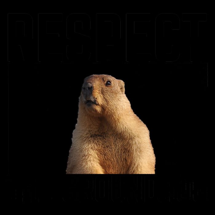 Funny Respect The Groundhog Mug