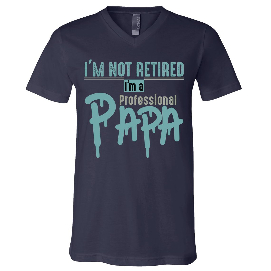 Funny Retired Professional Papa V-Neck T-Shirt