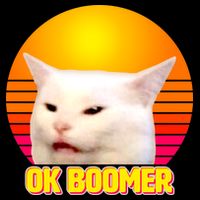 Funny Retro Table Cat OK Boomer Meme Drawstring Bag