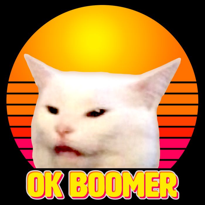 Funny Retro Table Cat OK Boomer Meme Flat Bill Trucker Hat