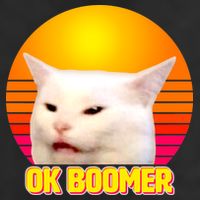 Funny Retro Table Cat OK Boomer Meme 25L Jumbo Tote