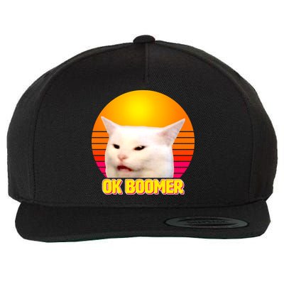 Funny Retro Table Cat OK Boomer Meme Wool Snapback Cap