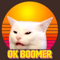 Funny Retro Table Cat OK Boomer Meme Apron