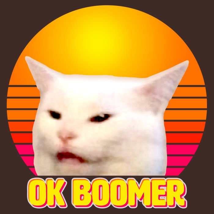 Funny Retro Table Cat OK Boomer Meme Apron