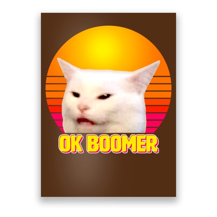 Funny Retro Table Cat OK Boomer Meme Poster