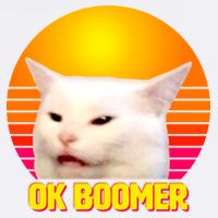 Funny Retro Table Cat OK Boomer Meme Garment-Dyed Sweatshirt