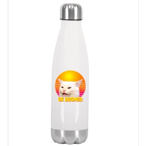 Funny Retro Table Cat OK Boomer Meme Stainless Steel Insulated Water Bottle