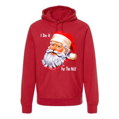 Funny Santa Claus I Do It For The HO'S Christmas Premium Hoodie