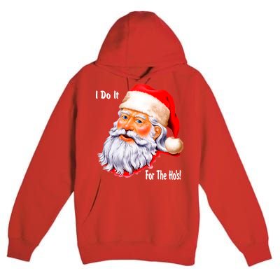 Funny Santa Claus I Do It For The HO'S Christmas Premium Pullover Hoodie