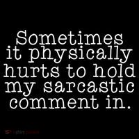 Funny Sarcastic Comment Poster