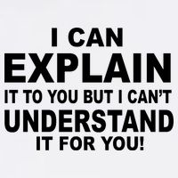 Funny Sayings I Can Explain It But I Can't Understand It For You Garment-Dyed Sweatshirt