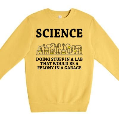 Funny Science Definition Premium Crewneck Sweatshirt