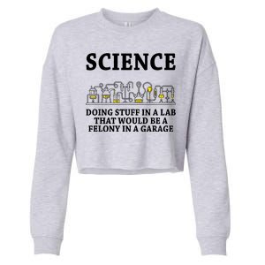 Funny Science Definition Cropped Pullover Crew