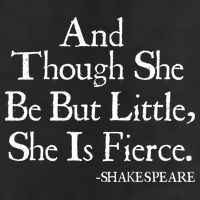 Funny Shakespeare Fierce Quote 11oz C Handle Ceramic Mug