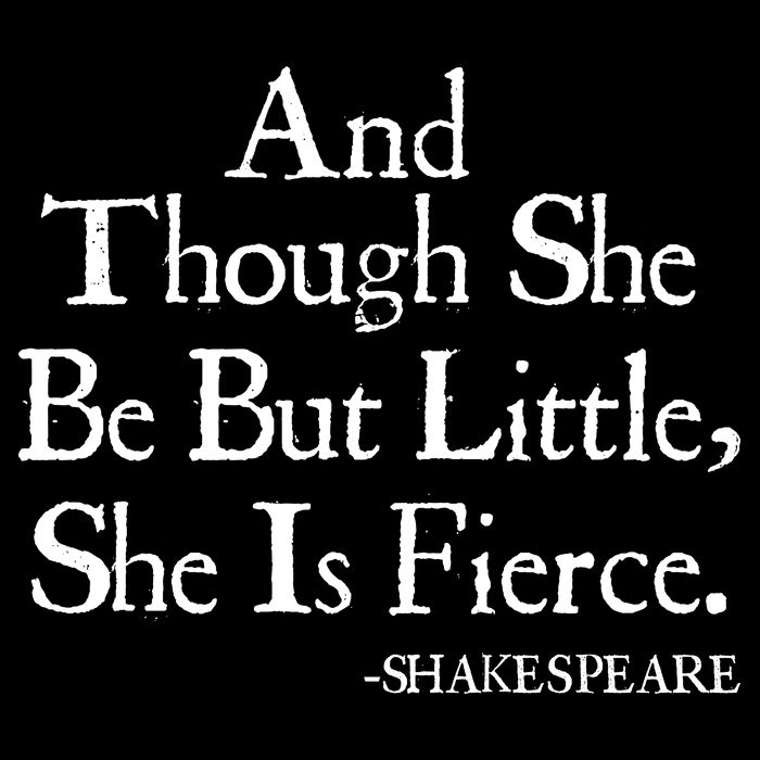 Funny Shakespeare Fierce Quote Kids Sweatshirt