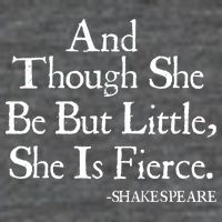 Funny Shakespeare Fierce Quote 7 Panel Mesh Trucker Snapback Hat