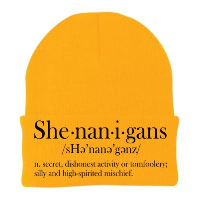 Funny Shenanigans Definition Knit Cap Winter Beanie