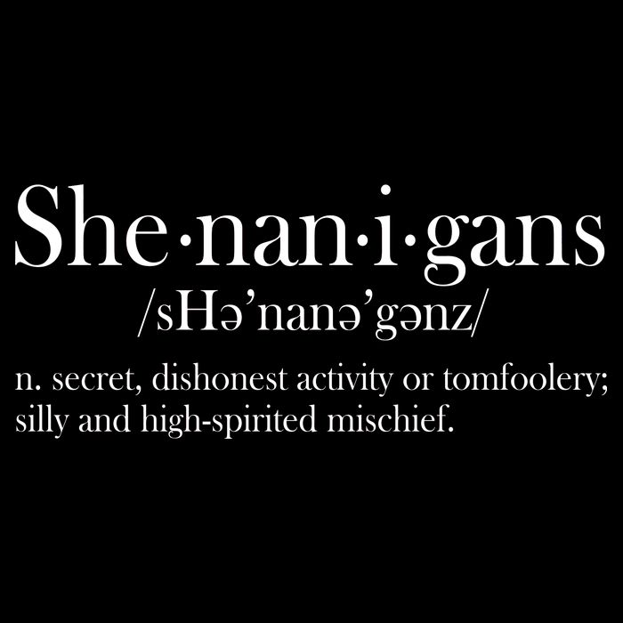 Funny Shenanigans Definition Drawstring Bag