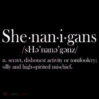 Funny Shenanigans Definition 16 in Basic Backpack