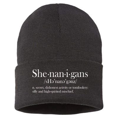 Funny Shenanigans Definition Sustainable Knit Beanie