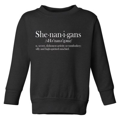 Funny Shenanigans Definition Toddler Sweatshirt