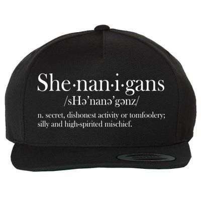 Funny Shenanigans Definition Wool Snapback Cap