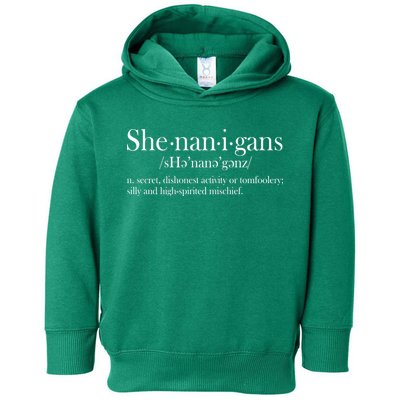 Funny Shenanigans Definition Toddler Hoodie